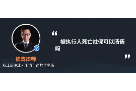 宜都融资清欠服务